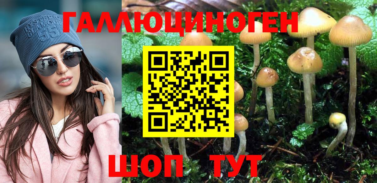 Галлюциногенные грибы MAGIC MUSHROOMS  Вход с VPN  Черкесск 